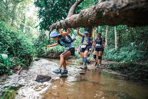 BIB: 
                            <button type="button" onclick="openModal(25369825)" class="btn btn-primary btn-sm float-right btn-popup" data-toggle="modal" data-target=".modal-high-quality">
                        <i class="fas fa-shopping-cart"></i> Add to Cart
                    </button>
                                            <button type="button" onclick="isThisMe(25369825, true)" class="btn btn-success btn-sm float-right btn-popup btn-isme hidden" data-toggle="tooltip" data-placement="bottom" title="นี่คือรูปของคุณใช่ไหม คลิกที่นี่เพื่อเอาเข้าอัลบั้ม">
                        <i class="fas fa-plus"></i> Add to album
                    </button>
                    <button type="button" onclick="isThisMe(25369825, false)" class="btn btn-warning btn-sm float-right btn-popup btn-isnotme hidden">
                        <i class="fas fa-ban"></i> Remove from album
                    </button>